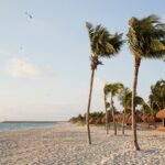 white sandy beach with palm trees in playa mujeres