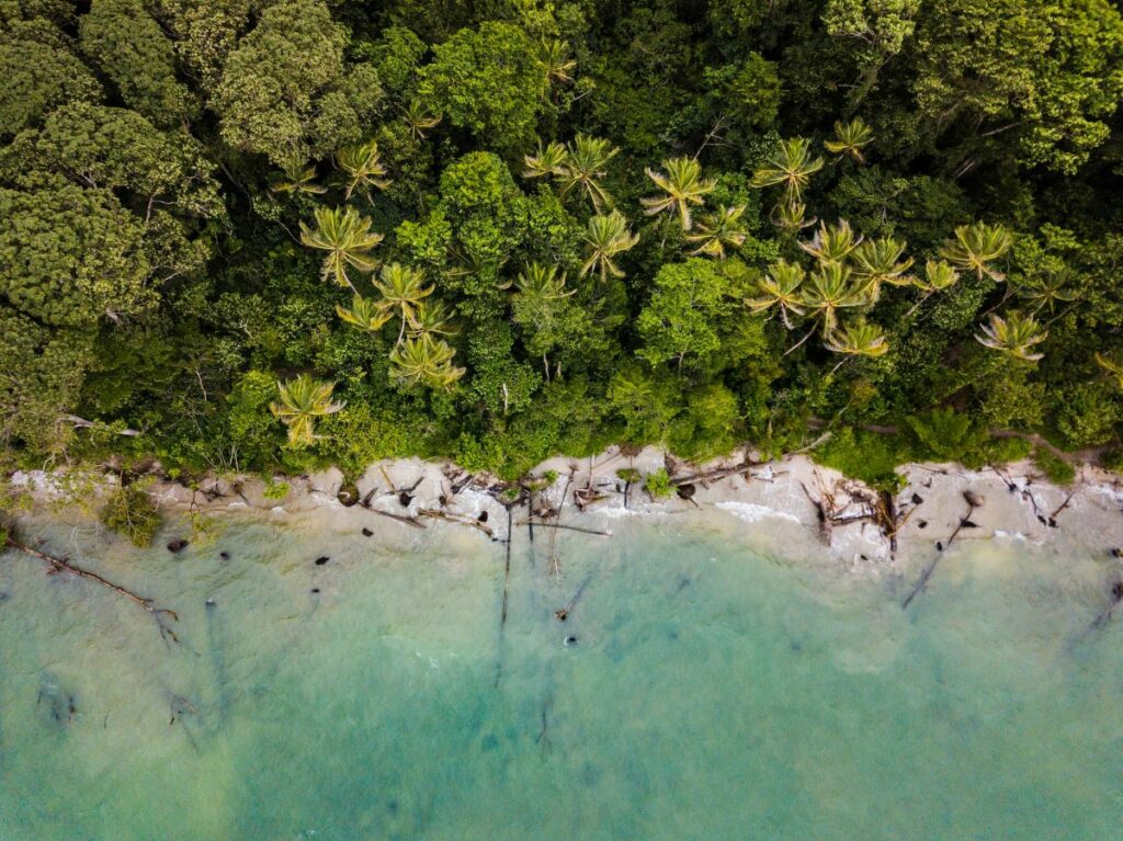 costa rican beach birds eye