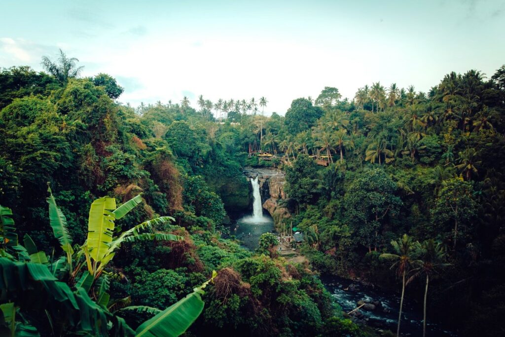 costa rica rainforest and cascade with a river