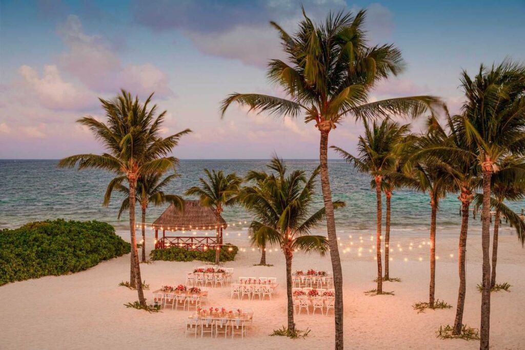 Wedding reception on the beach during sunset, with palm trees and bistro lights