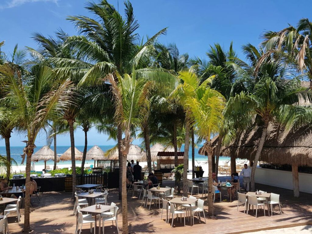 Ocean front deck with palm trees and lunch tables