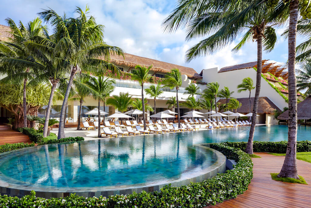sparkling swimming pool surrounded by palm trees