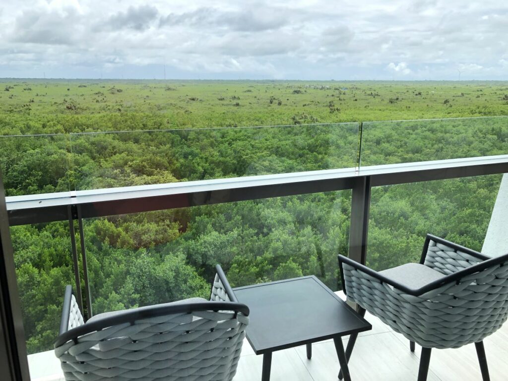 Hotel room balcony overlooking the expansive tropical forest
