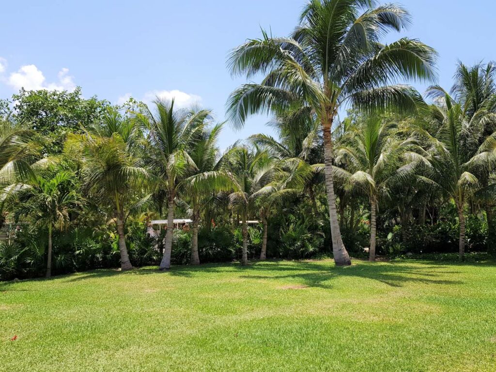 destination wedding reception set-up at the pool terrace of the secrets playa mujeres