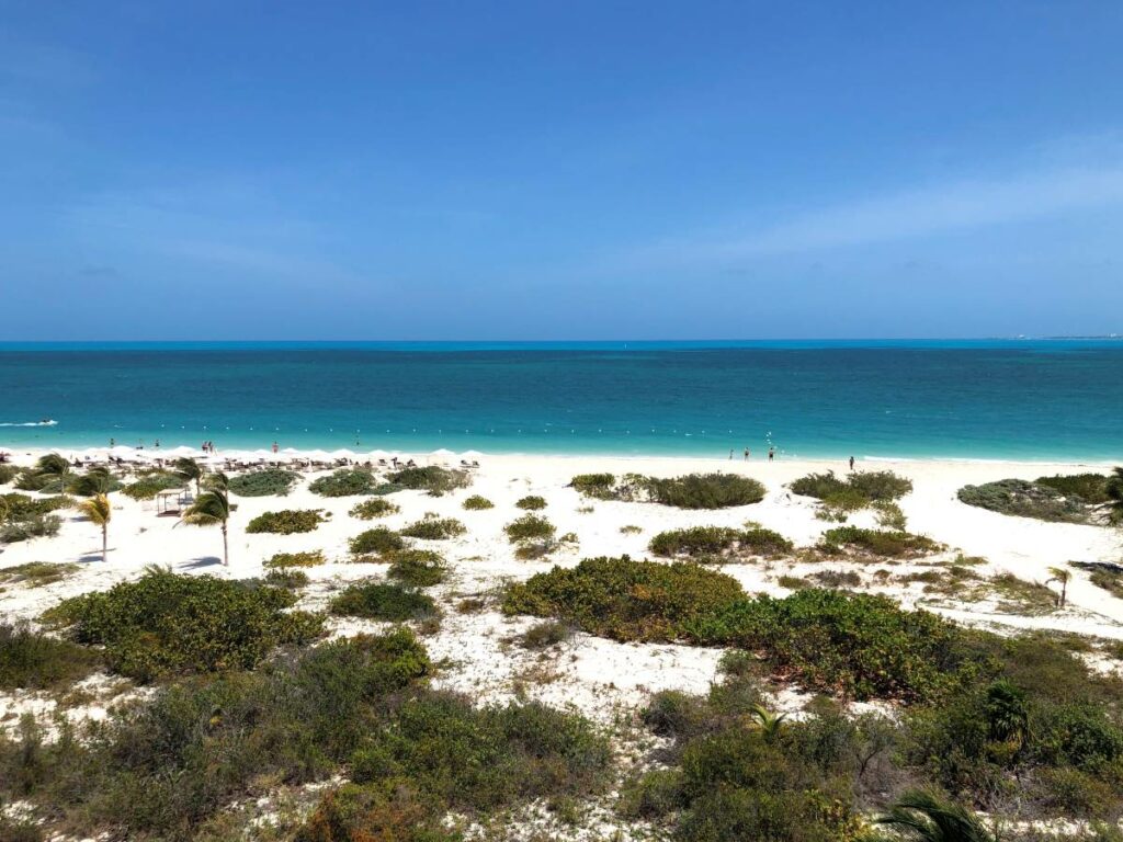 Large, virgin beach in costa mujeres mexico with sand dunes and bushes